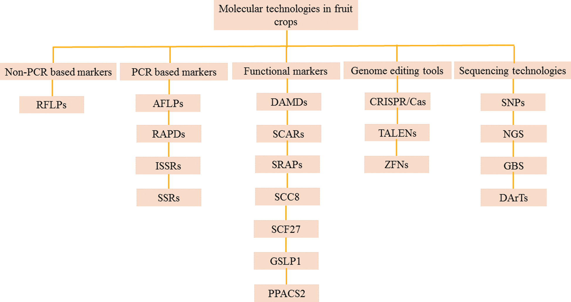 Applications of Molecular Markers in Fruit Crops for Breeding Programs