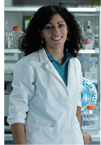 1753778561527970.png 图片1.png