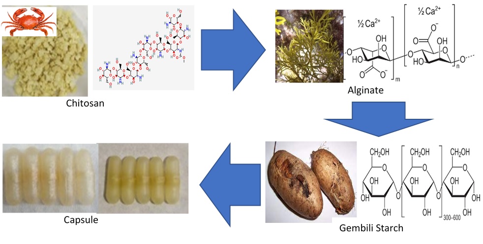 The Fabrication of Water-Soluble Chitosan Capsule Shell Modified by Alginate and Gembili Starch (<i>Dioscorea esculenta</i> L)