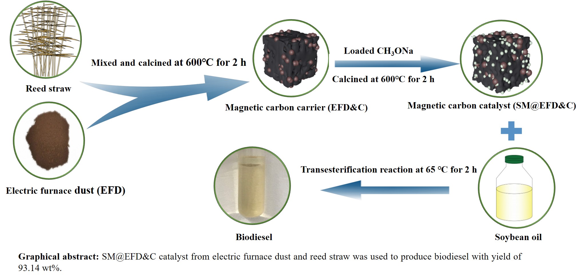 A Novel Magnetic Carbon Based Catalyst Synthesized from Reed Straw and Electric Furnace Dust for Biodiesel Production