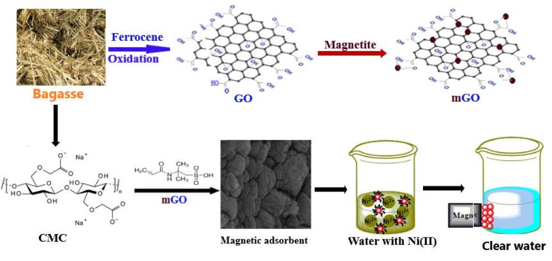 Development of Magnetite/Graphene Oxide Hydrogels from Agricultural Wastes for Water Treatment