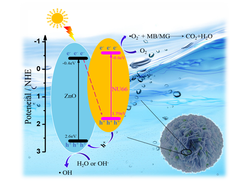 Remarkably Enhanced Photodegradation of Organic Pollutants by NH<sub>2</sub>-UiO-66/ZnO Composite under Visible-Light Irradiation
