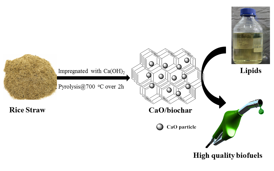Journal of Renewable Materials Catalytic Pyrolysis of Soybean Oil