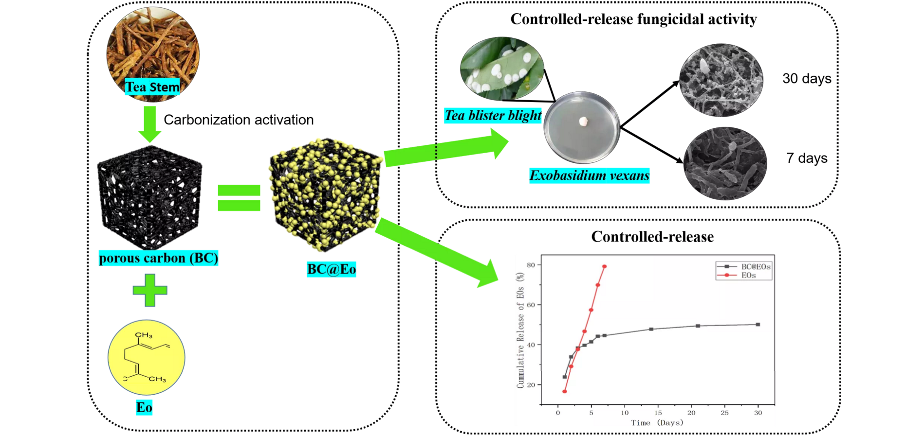 Controlled-Release of Plant Volatiles: New Composite Materials of Porous Carbon-Citral and Their Fungicidal Activity against <i>Exobasidium vexans</i>