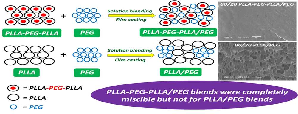 Study of Thermal, Phase Morphological and Mechanical Properties of Poly(L-lactide)-b-Poly(ethylene glycol)-b-Poly(L-lactide)/Poly(ethylene glycol) Blend Bioplastics